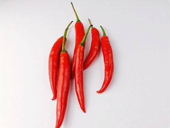 High angle view of food on white background