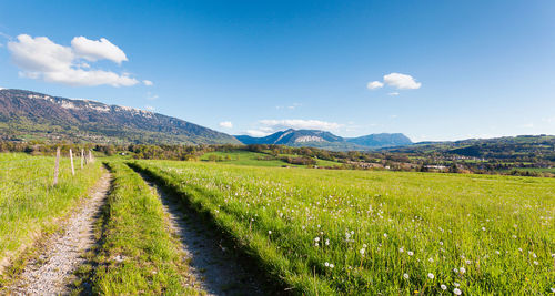 Scenic view of field against sky
