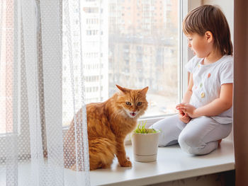 Toddler boy sits on windowsill and feeds  cat with green grass. cat with shocked expression on face.