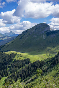 Scenic view of landscape 