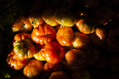 Close-up of red chili peppers