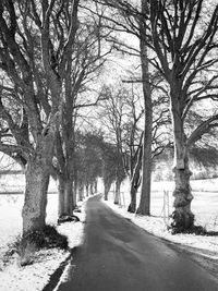 Road amidst bare trees in winter