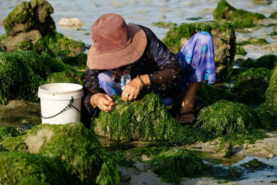 Woman searching for clam in seaweed at beach