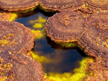 High angle view of rocks in water