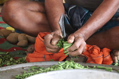 Midsection of man picking vegetables