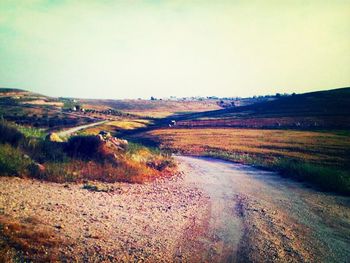 Road passing through field