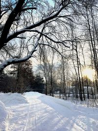 Snow covered bare trees against sky