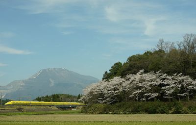 Doctor yellow running at foot of mt.ibuki at cherry blossom season