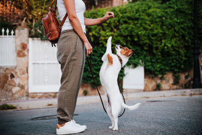 Low section of woman playing with dog standing in city