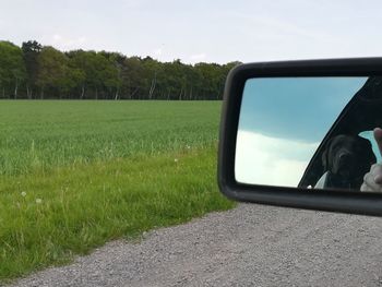 Reflection of side-view mirror on field against sky