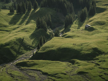 High angle view of trees on landscape