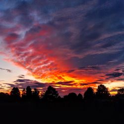 Silhouette of trees during sunset