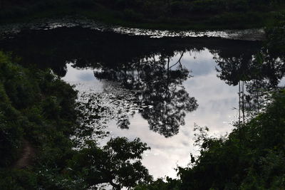 Reflection of trees in lake against sky