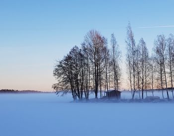 Bare trees on snow covered landscape against clear sky