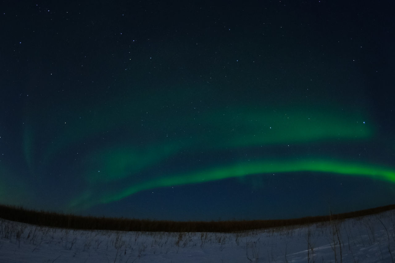 LOW ANGLE VIEW OF SKY AT NIGHT