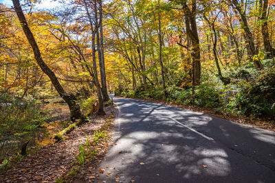 Road amidst trees in forest during autumn