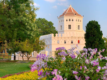 View of flowering plants in front of building