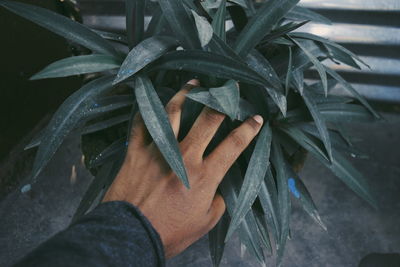 Close-up of hand holding metal