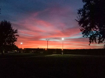 Silhouette trees on field against sky during sunset