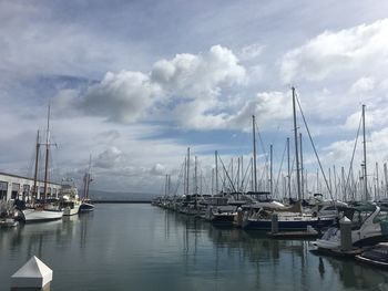 Sailboats moored in harbor