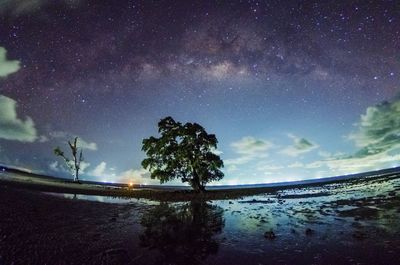 Scenic view of trees against sky at night