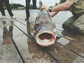 Midsection of man holding dead fish on pier