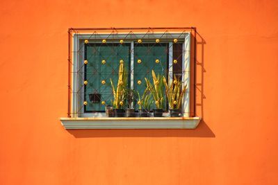 Potted plant on window sill of orange building