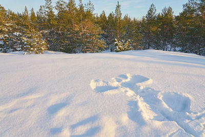 Scenic view of snow covered field