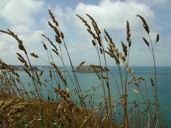 Scenic view of sea against cloudy sky