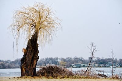 Scenic view of lake against clear sky