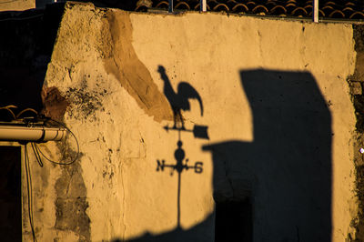 Shadow of birds on wall