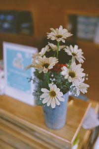 Close-up of white daisy flower vase on table