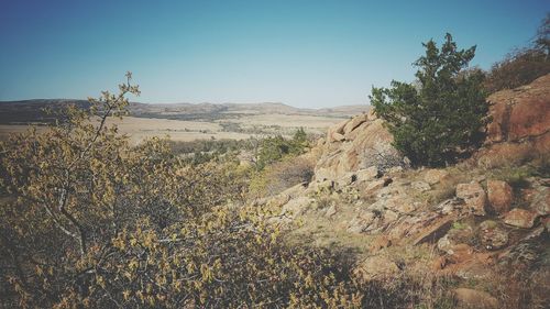 Scenic view of landscape against clear sky