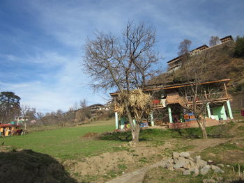 Trees in front of building against sky