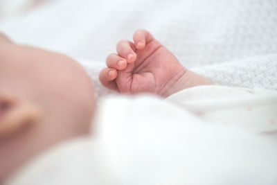 Close-up of baby hand