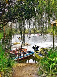 Scenic view of lake against trees