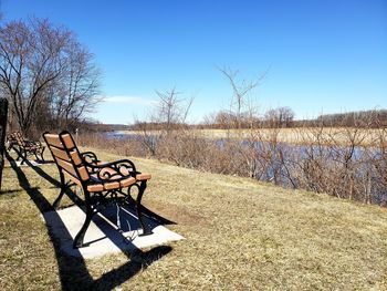 Shadow of bare tree on field against clear blue sky