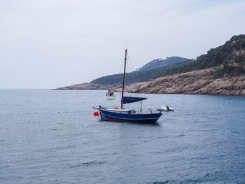 Sailboat sailing on sea against sky