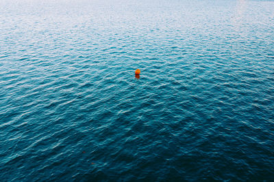 High angle view of person swimming in sea