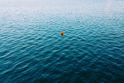 High angle view of person swimming in sea