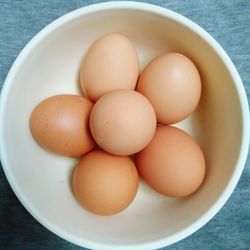 High angle view of eggs in bowl on table