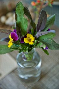 High angle view of flowers in vase on table