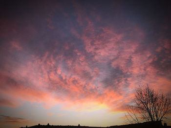 Low angle view of silhouette trees against dramatic sky