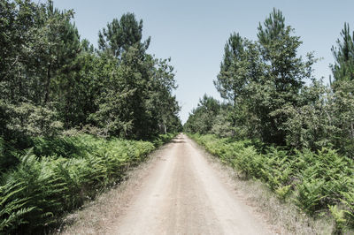 Dirt road on field against clear sky