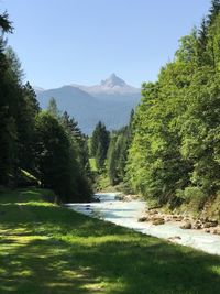 Scenic view of lake by trees against clear sky