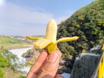 Close-up of hand holding yellow leaf