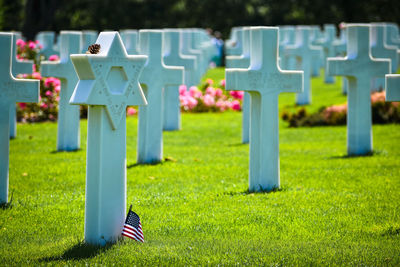 View of empty cemetery