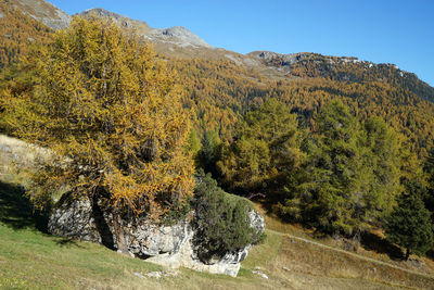 Scenic view of tree mountains against sky