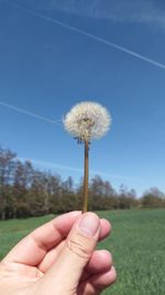 Close-up of hand holding dandelion against sky