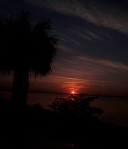 Silhouette palm trees against sky at sunset